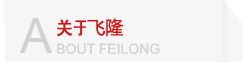 关于飞隆