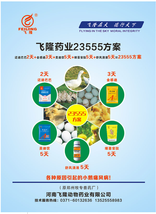 23555小鹅痛风方案